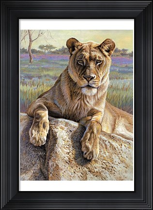 Framed Serengeti Lioness Print