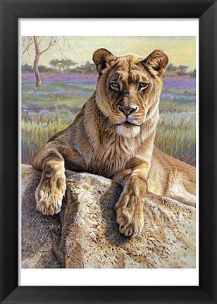 Framed Serengeti Lioness Print