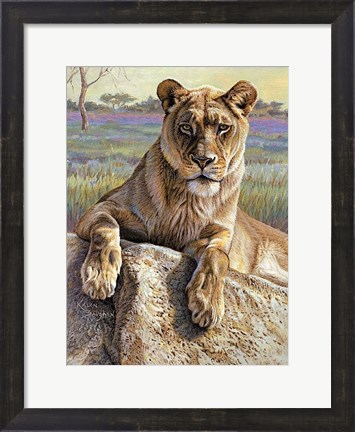 Framed Serengeti Lioness Print