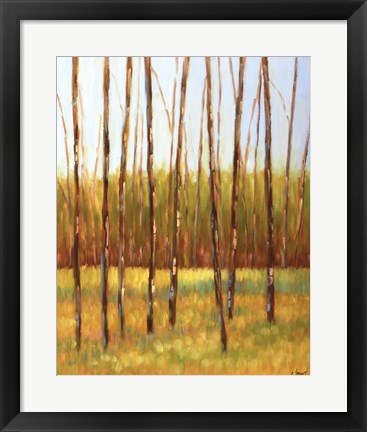 Framed Tall Trees I (left) Print