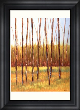 Framed Tall Trees I (left) Print