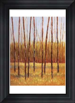 Framed Tall Trees II (right) Print