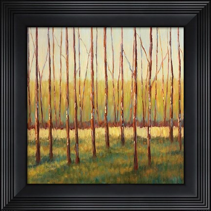 Framed Grove of Trees Print