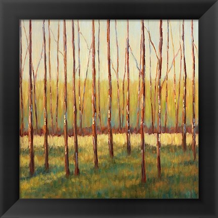 Framed Grove of Trees Print