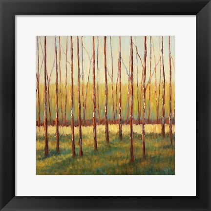 Framed Grove of Trees Print