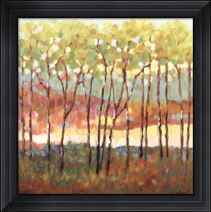 Framed Distant Color Print