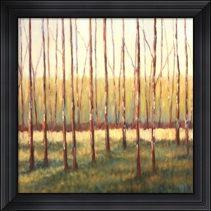 Framed Grove of Trees Print