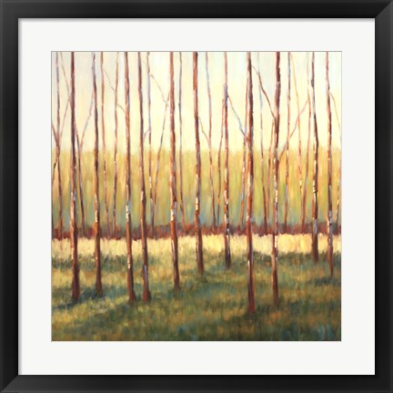 Framed Grove of Trees Print