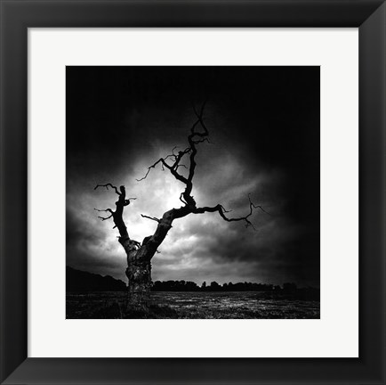 Framed Last Tree Print