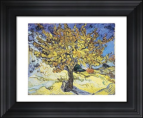 Framed Mulberry Tree, 1889 Print