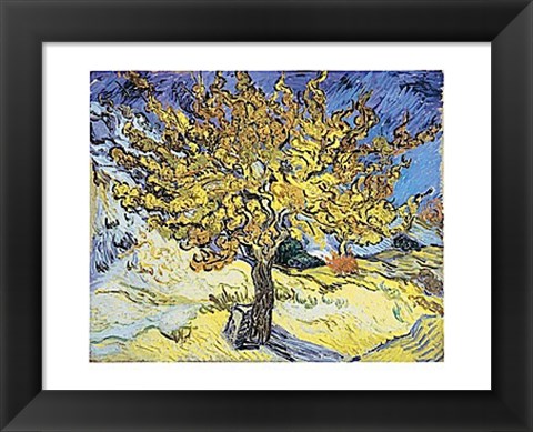Framed Mulberry Tree, 1889 Print