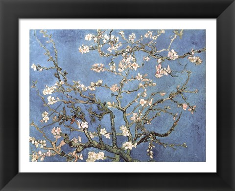 Framed Almond Blossom, 1890 Print