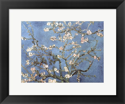 Framed Almond Blossom, 1890 Print