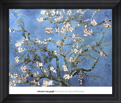 Framed Almond Blossom, 1890 Print
