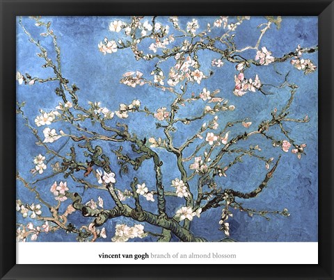 Framed Almond Blossom, 1890 Print