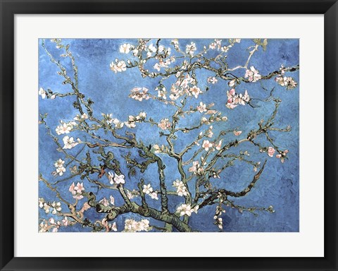 Framed Almond Blossom, 1890 Print