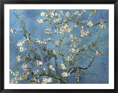 Framed Almond Blossom, 1890 Print