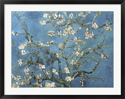 Framed Almond Blossom, 1890 Print