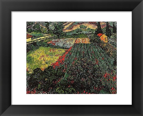 Framed Field of Poppies, Saint-Remy, c. 1889 Print