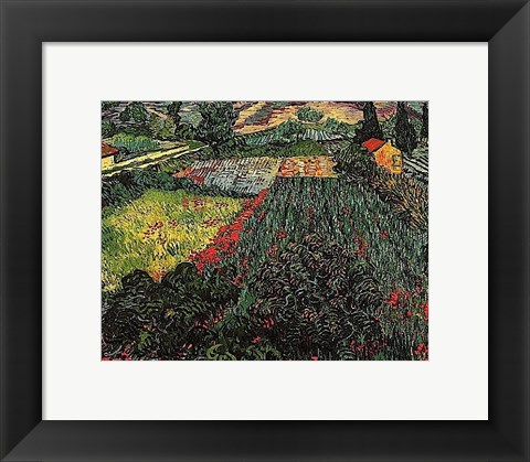 Framed Field of Poppies, Saint-Remy, c. 1889 Print