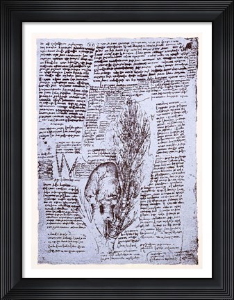 Framed Heart and the bronchial arteries Print