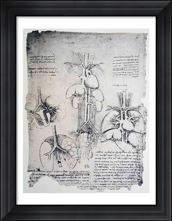 Framed Heart and the Circulation Print