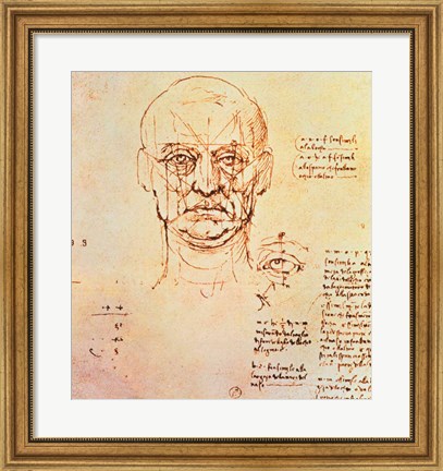 Framed Studies of the Proportions of the Face and Eye Print