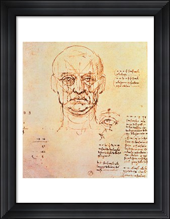 Framed Studies of the Proportions of the Face and Eye Print