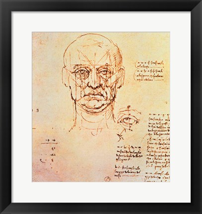 Framed Studies of the Proportions of the Face and Eye Print