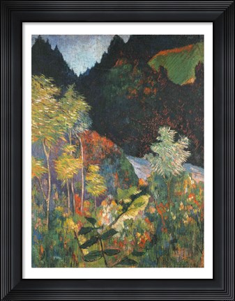 Framed Landscape Print