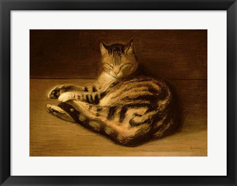 Framed Recumbent Cat, 1898 Print