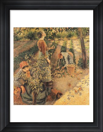Framed Apple Pickers, 1886 Print