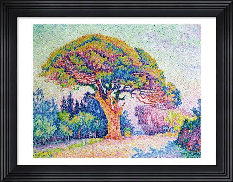 Framed Pine Tree at St. Tropez, 1909 Print
