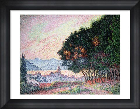 Framed Forest near St. Tropez, 1902 Print
