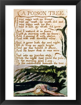 Framed Poison Tree, from Songs of Experience Print