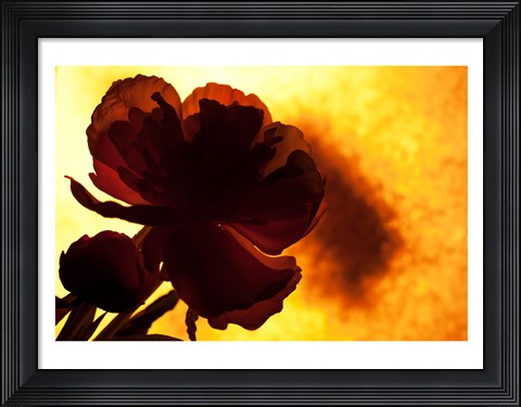 Framed Flower Print
