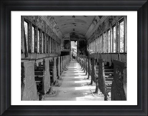 Framed Overgrowth Along The Line Print