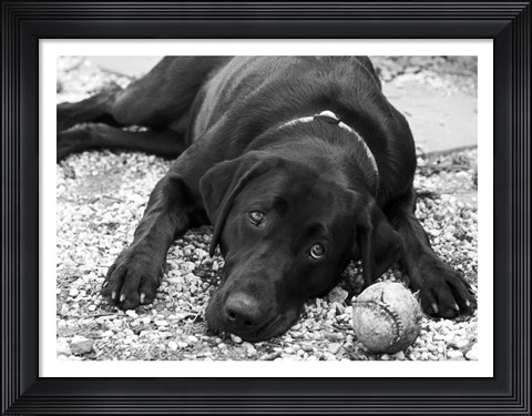 Framed Playful Print