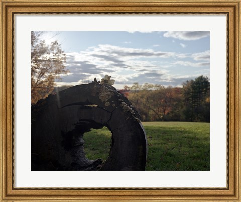 Framed Only Moment We Were Alone Print