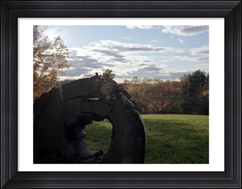 Framed Only Moment We Were Alone Print