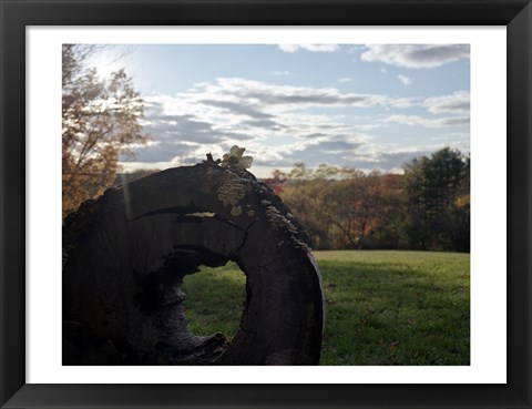 Framed Only Moment We Were Alone Print