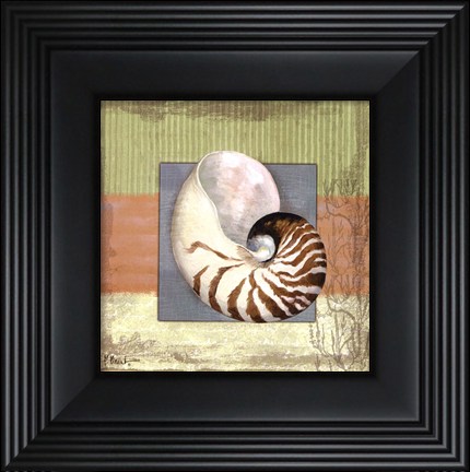 Framed Montego Nautilus- petite Print