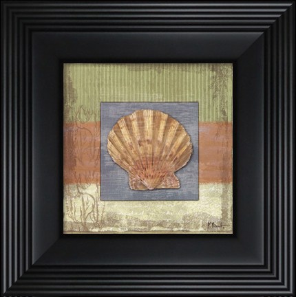 Framed Montego Scallop- petite Print