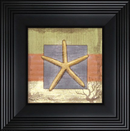 Framed Montego Starfish- petite Print