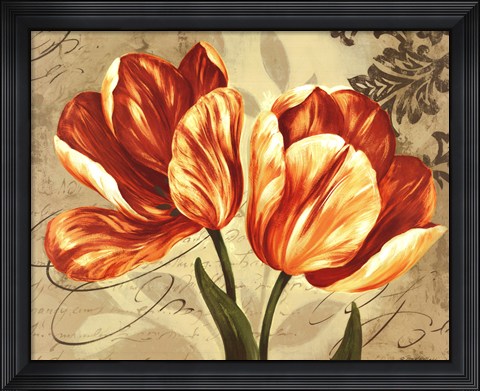 Framed Colori II Print