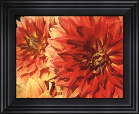 Framed Hot Sun Print