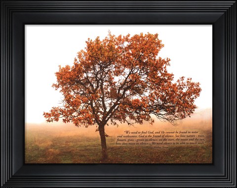 Framed Silent Oak Print