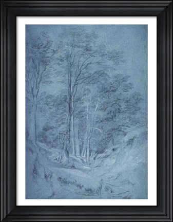 Framed Study of ash and other trees Print