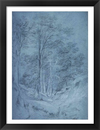 Framed Study of ash and other trees Print