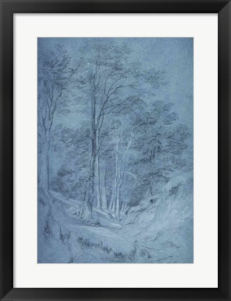 Framed Study of ash and other trees Print